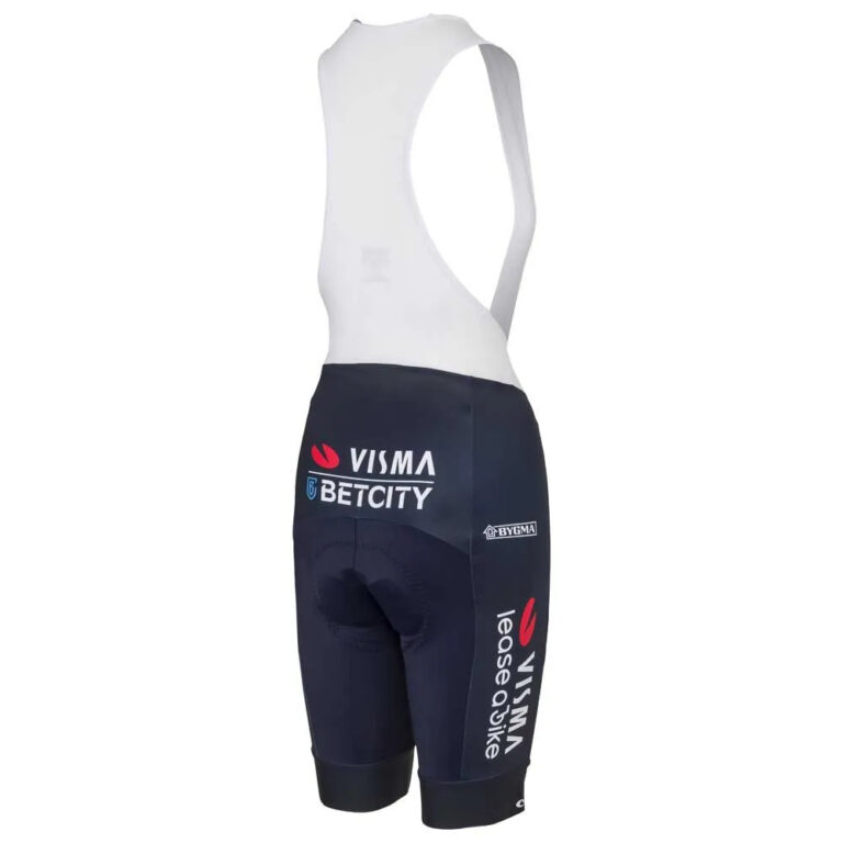 AGU Replica Visma Lease A Bike TDF 2024 Bib Shorts XS Multicolor - L Multicolor - Image 4