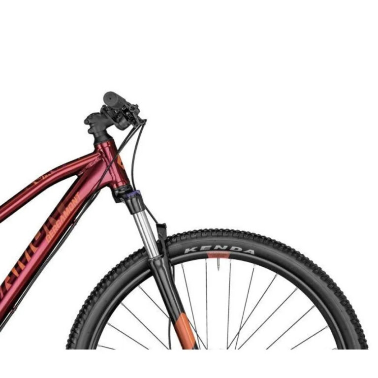 Bergamont Revox 4 29&amp;acute;&amp;acute; Altus 2022 MTB Bike L9 Mirror Red - XS7 Mirror Red - Image 3