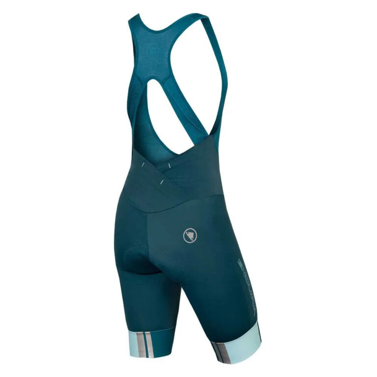 Endura FS260-Pro Bib Shorts 2XS Kingfisher - L Kingfisher - Image 2