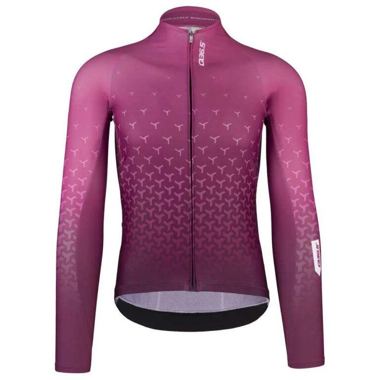 Q36.5 R2 Long Sleeve Jersey XS Figue - M Figue