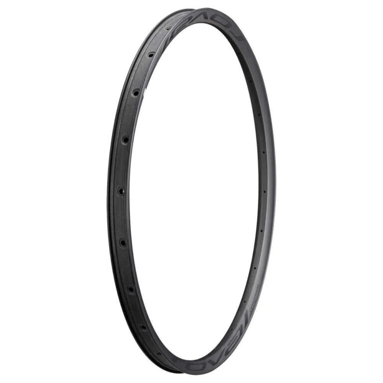 Specialized Control SL 29&amp;acute;&amp;acute; Disc 29 Mm Internal Rim 29&acute;&acute; 24H Satin Carbon / Black